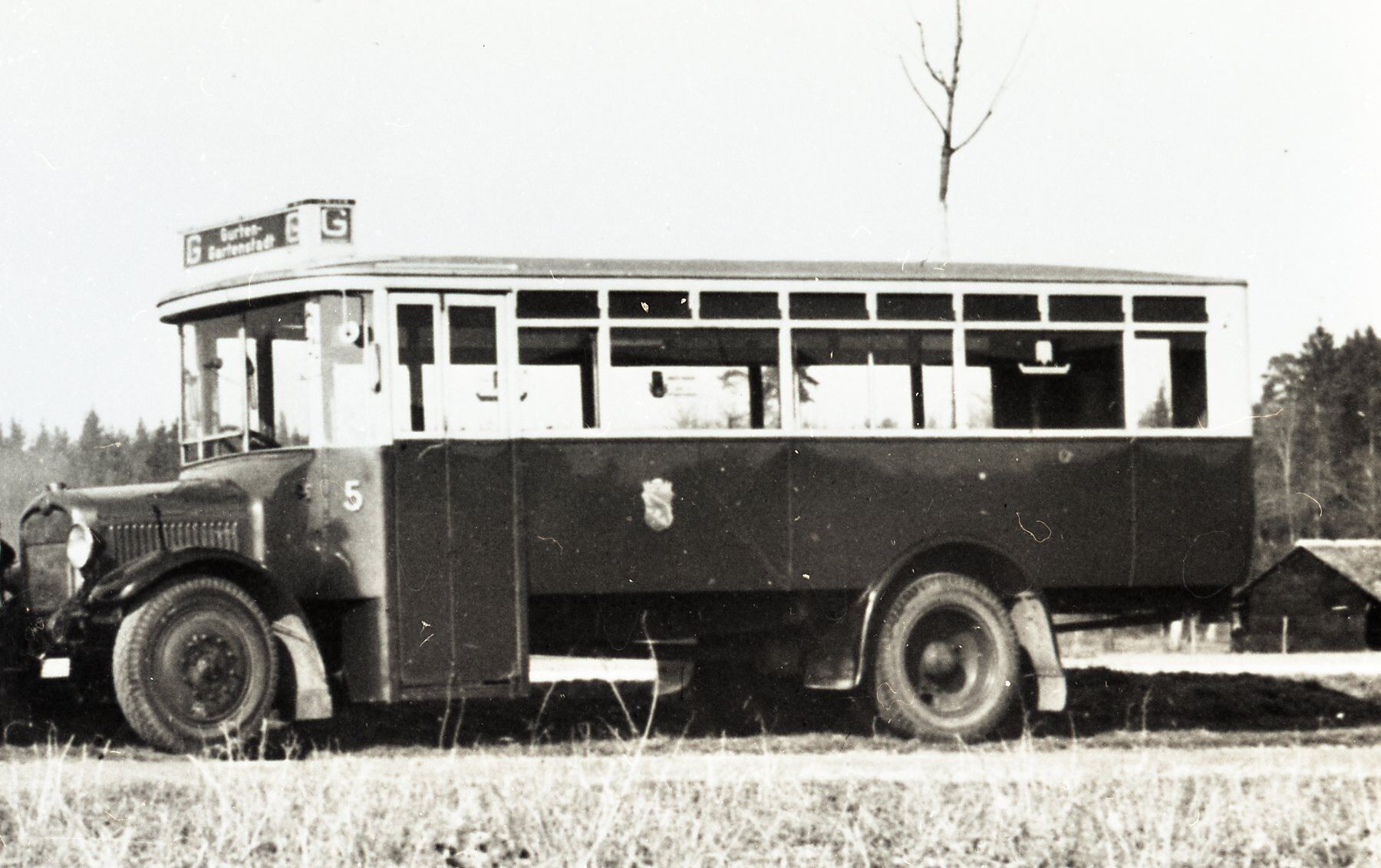 Schnauzenbus Nr. 5